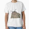 Moth by Classic  Jukebox