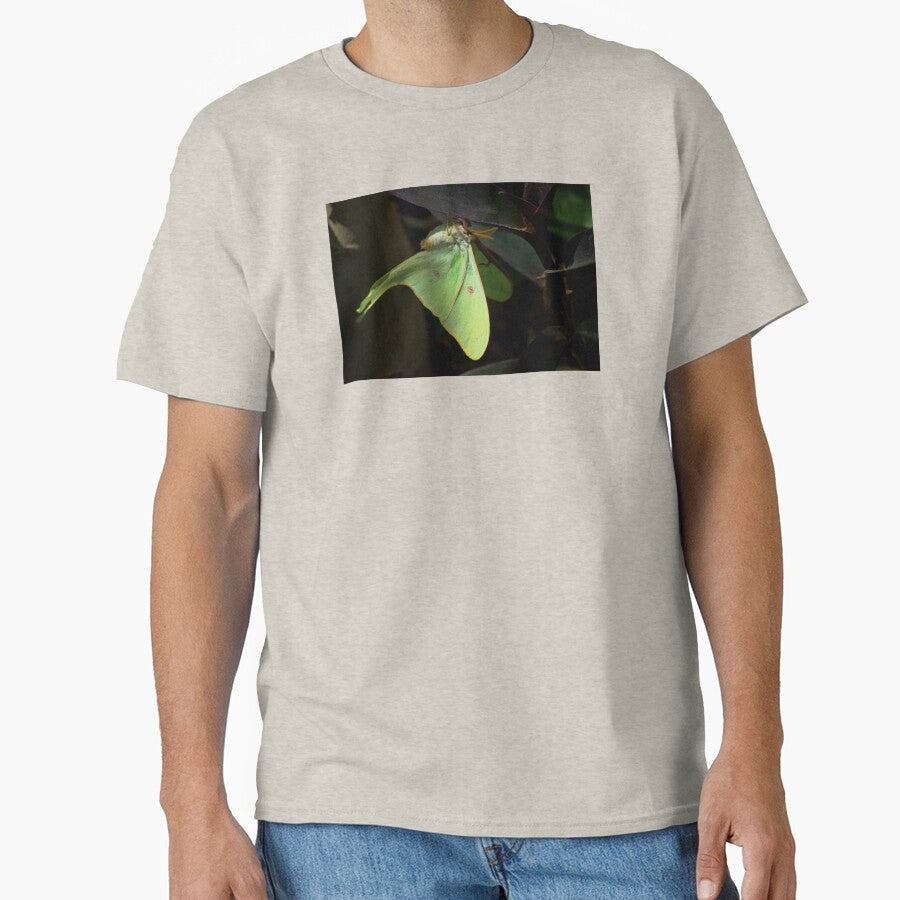 " The Lunar Moth " by K D Graves Photography
