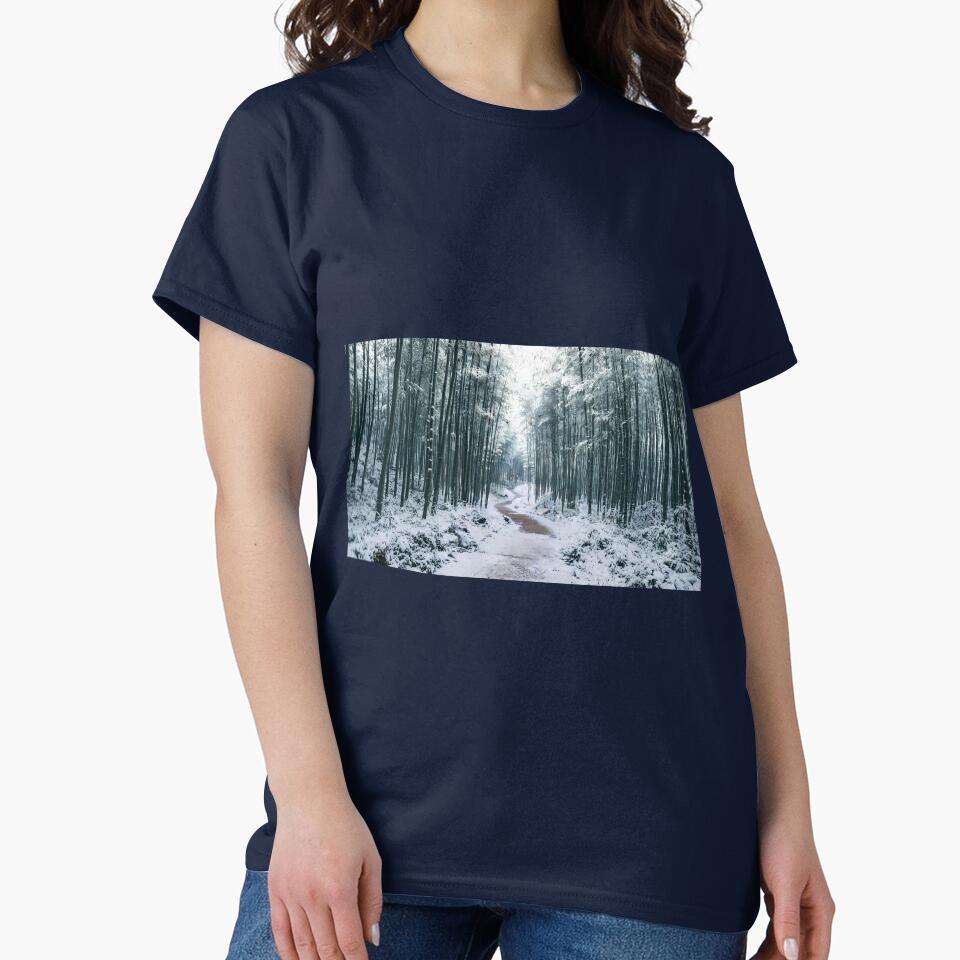 Damyang Juknokwon Bamboo Forest in Winter - Snowy Serenity and Quiet Path by SOOstudio73