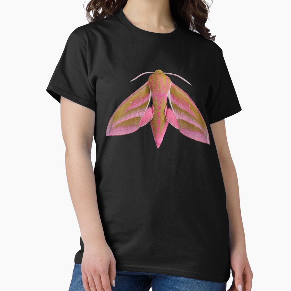 Elephant Hawk Moth – Deilephila elpenor by Harpagann