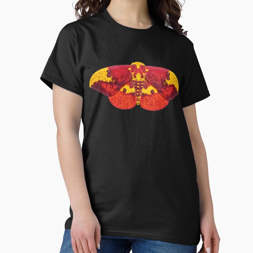 Imperial Moth Eacles imperialis Realistic Style by Harpagann