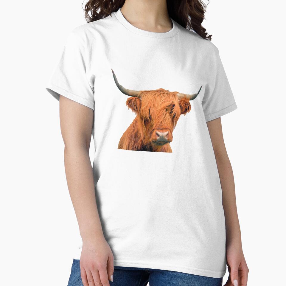 Highland Cow by zanbo