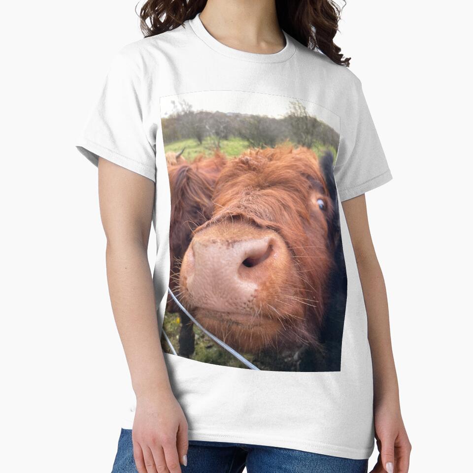 Highland coo by featherfox8
