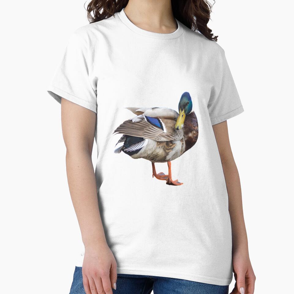Mallard Duck by Sandwhit
