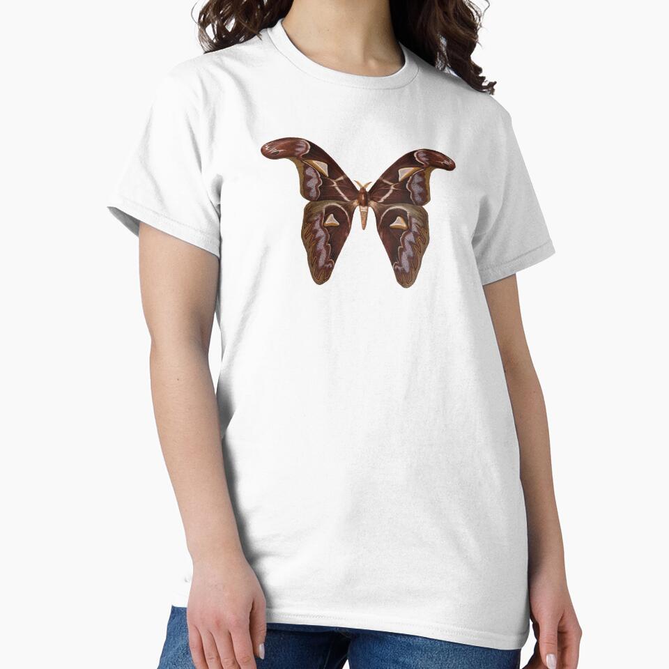 Vintage Scientific Illustration of an Atlas Moth by bookishneighbor