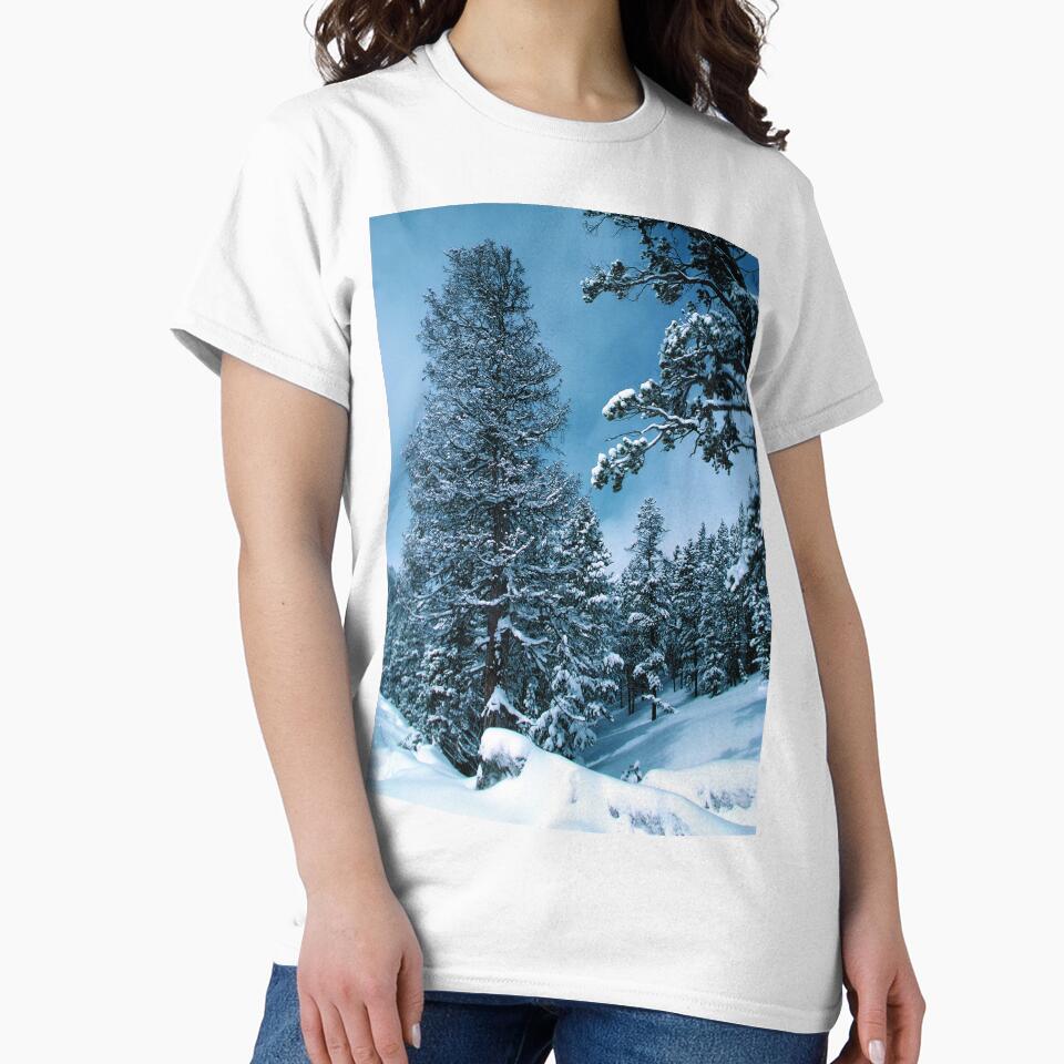Winter Wonderland by BravuraMedia