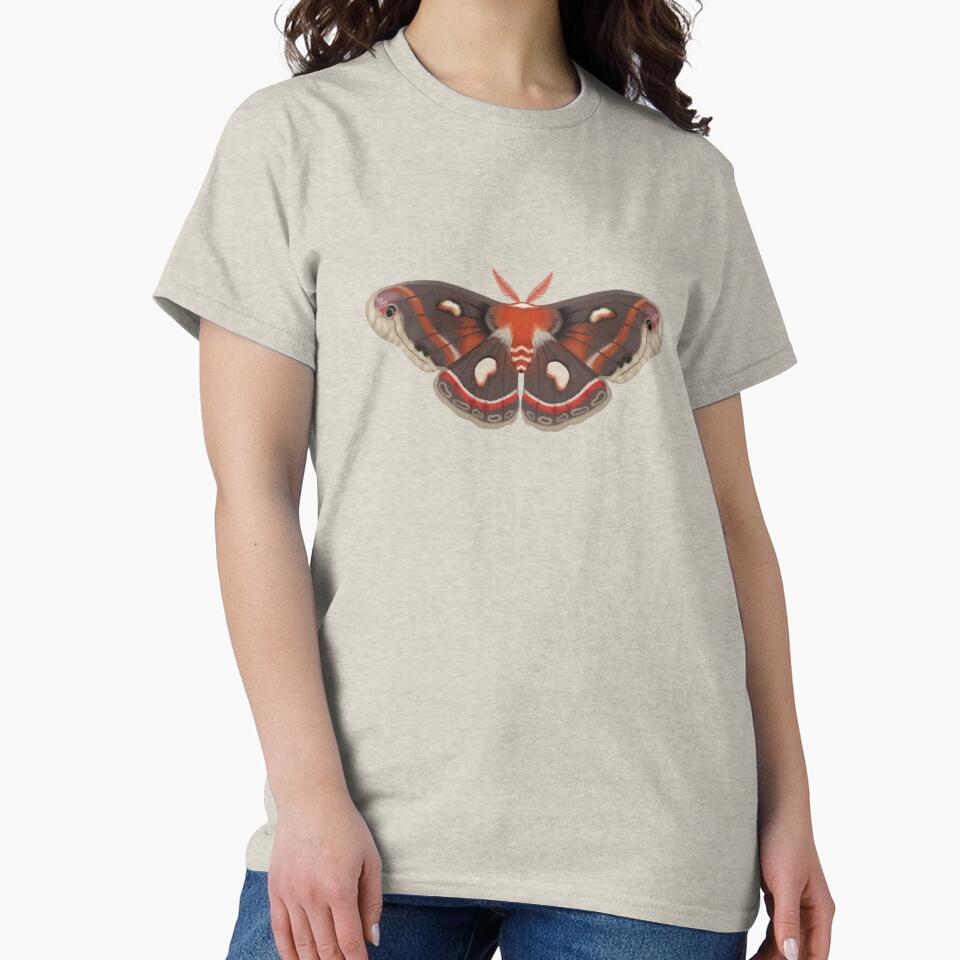 cecropia moth by cascinas