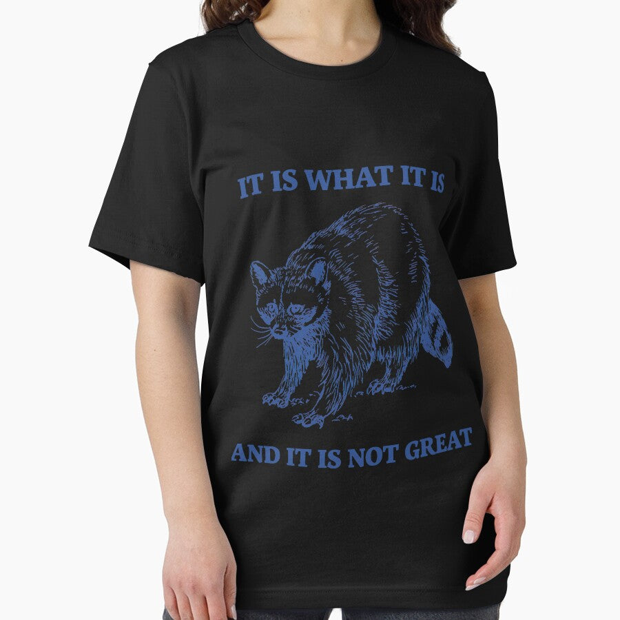 Raccoon It Is What It Is And It Is Not Great by MattCollinsShop