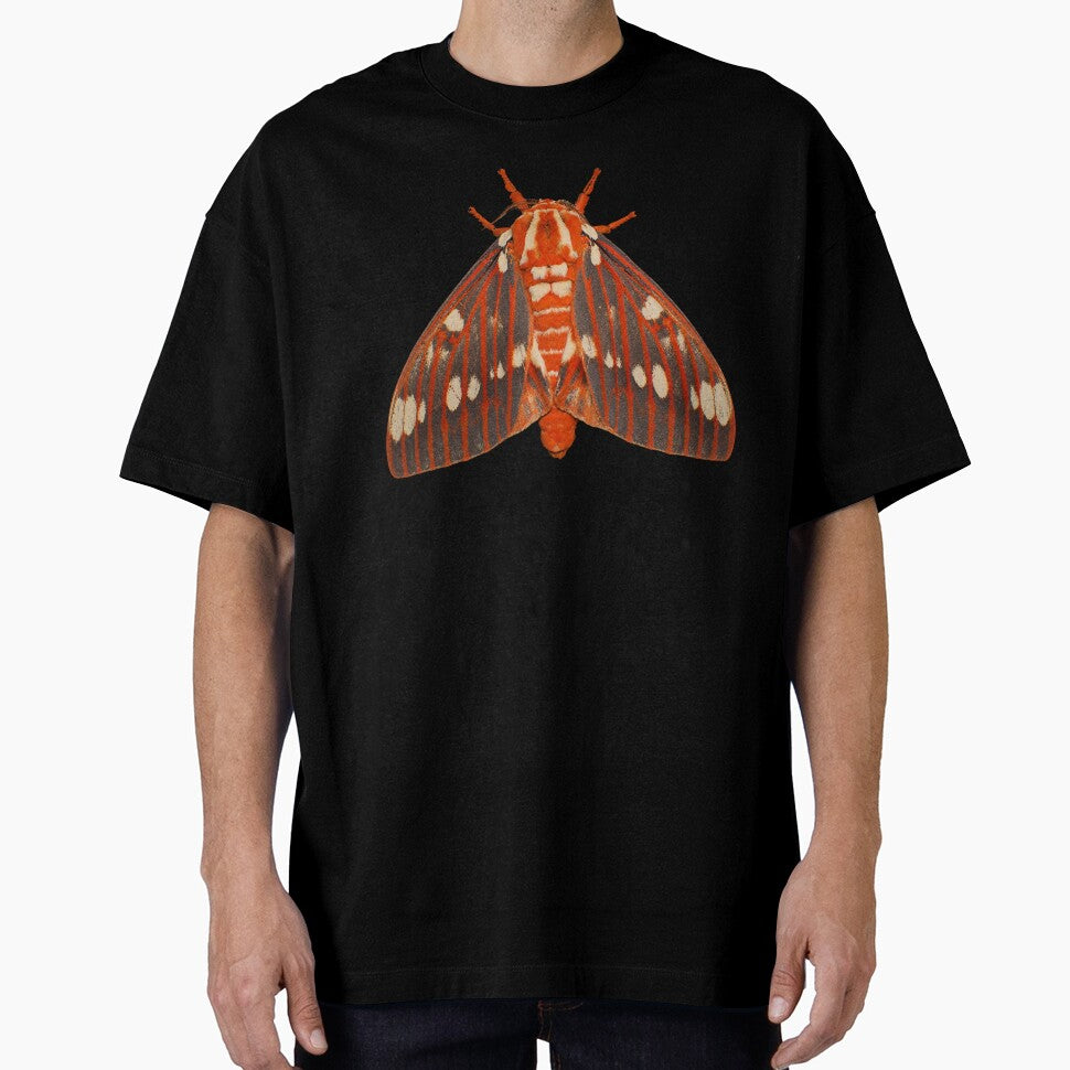 Regal Moth Citheronia regalis Realistic Style by Harpagann