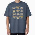 Moths by Allison Romero Design