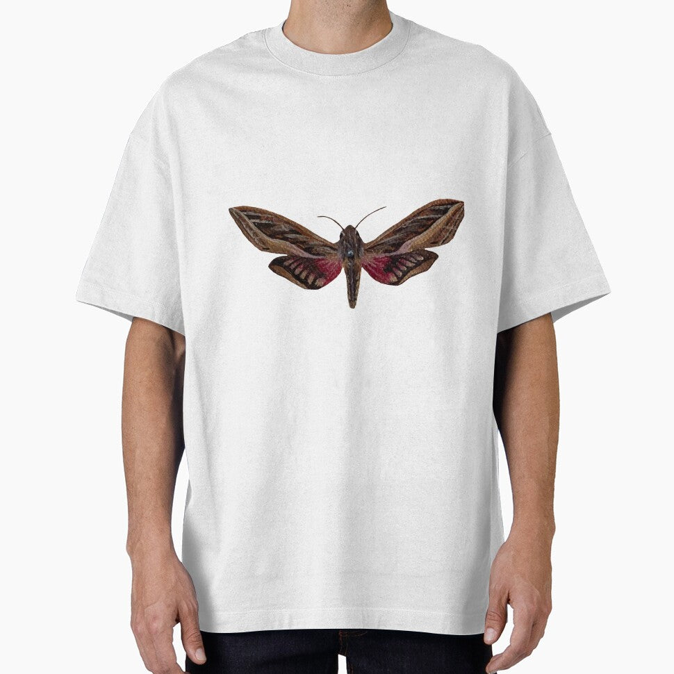 silver striped hawk moth by kaitlynyaru.art