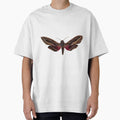 silver striped hawk moth by kaitlynyaru.art