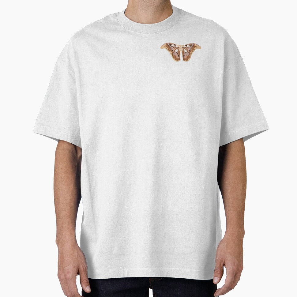 Goliath Moth Illustration by itsgoodjunk