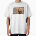 Funny Shaggy Highland Cow by TheAnimalZ00