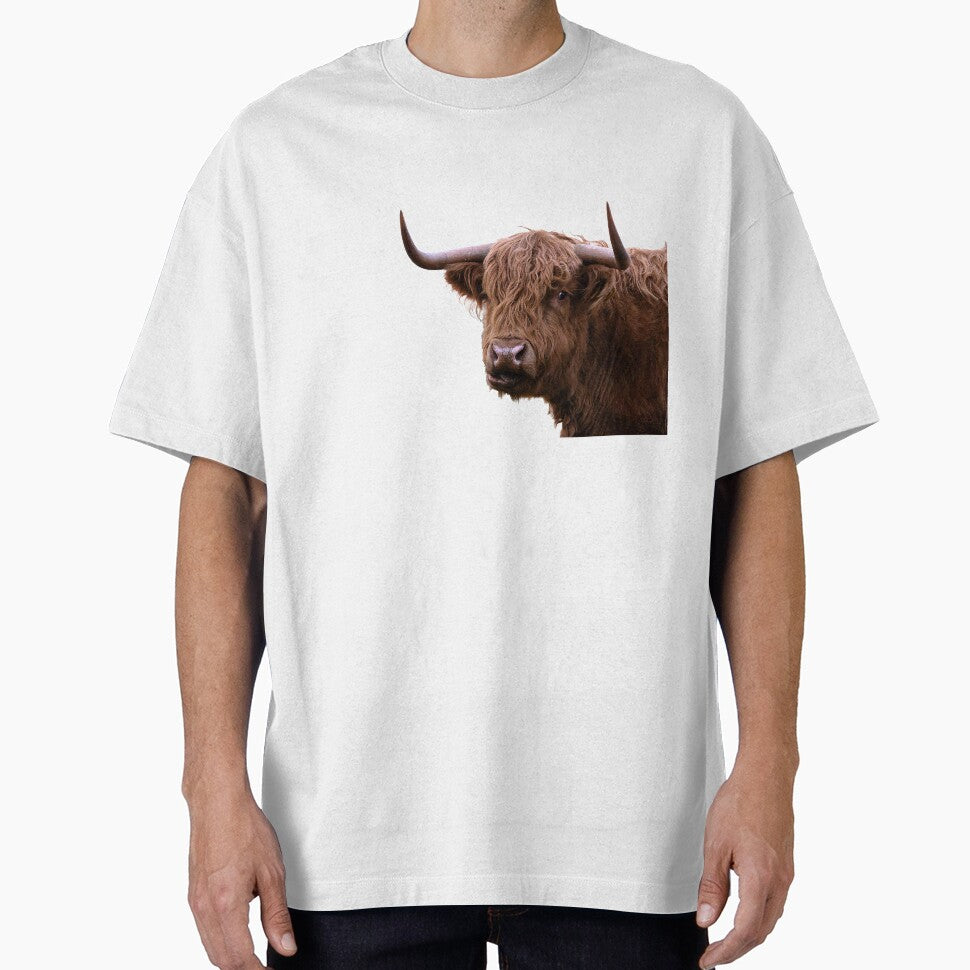 Love a highland cow by inspireyoureyes