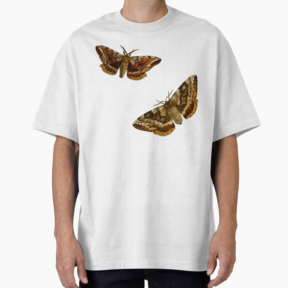 Lepidopterological Print: Moths by Tridentulus