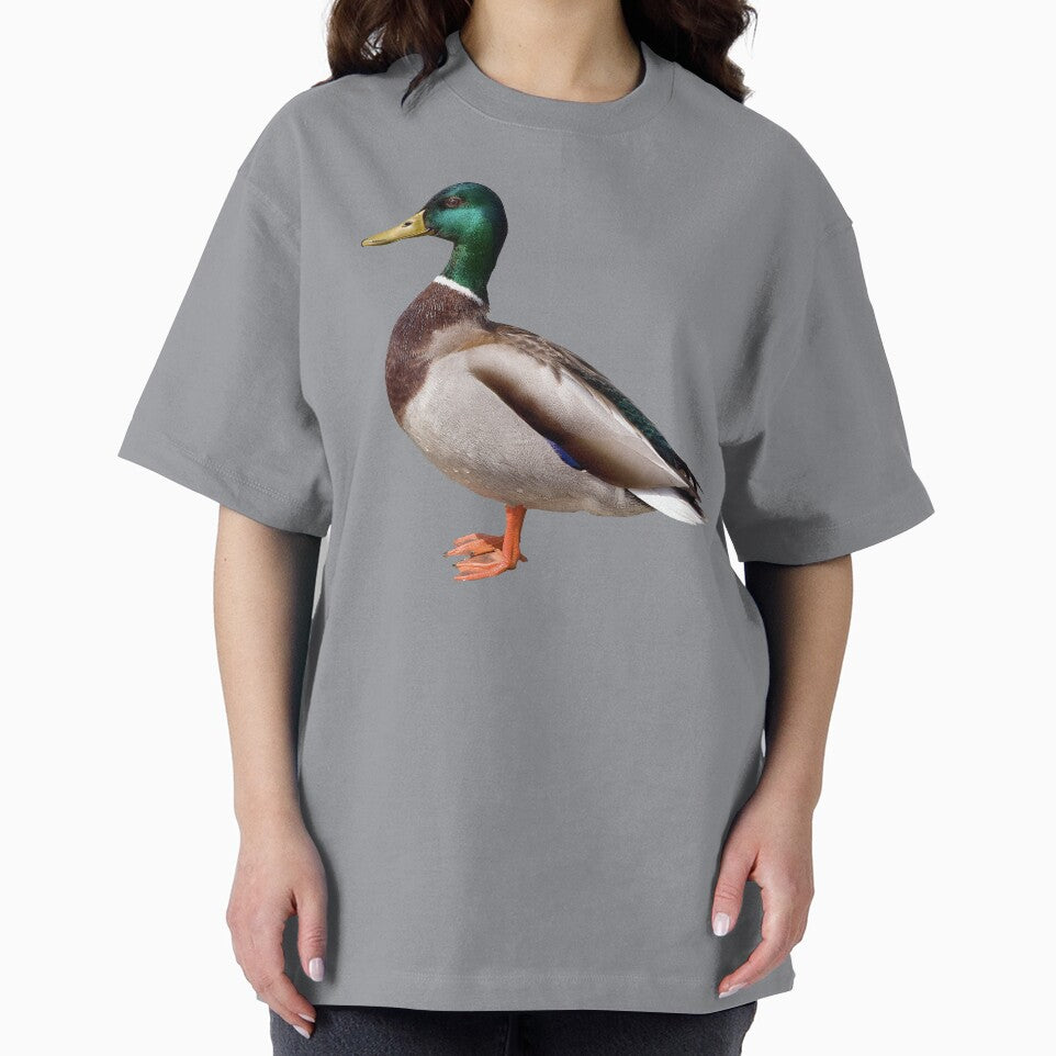 Mallard Duck Standing by Futurebeachbum