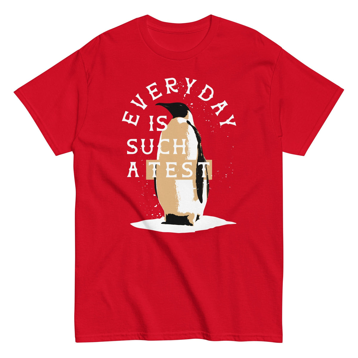 Everyday Is Such A Test Men's Classic Tee
