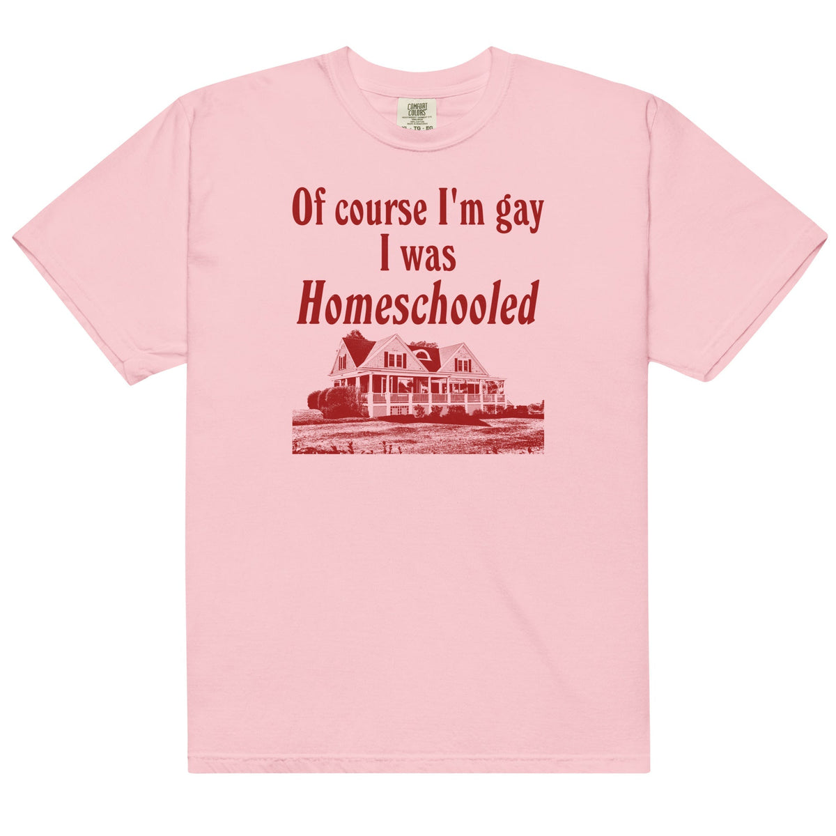 I Was Homeschooled Unisex