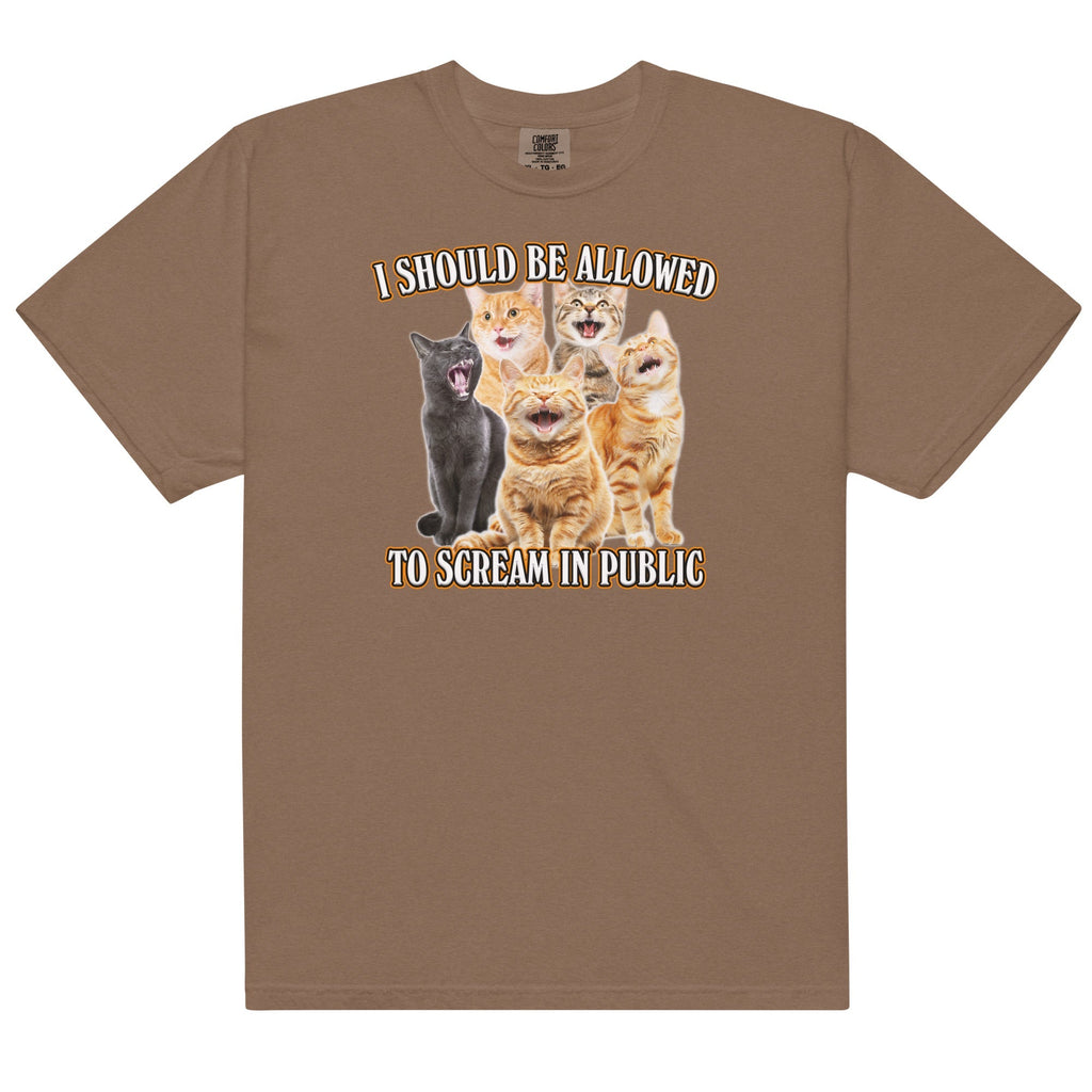 Allowed to Scream in Public Unisex