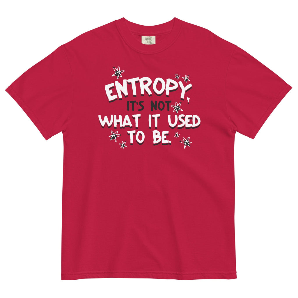 Entropy, It's Not What It Used To Be Men's Relaxed Fit Tee