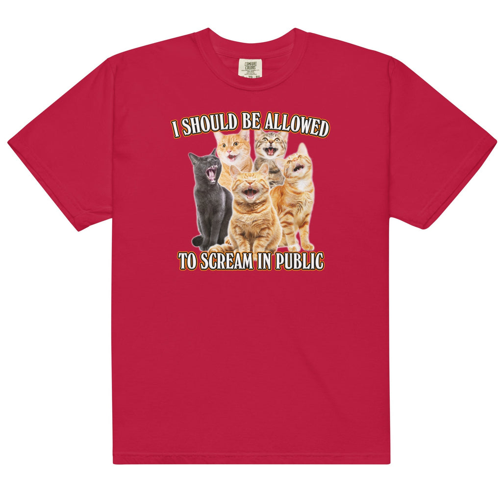 Allowed to Scream in Public Unisex