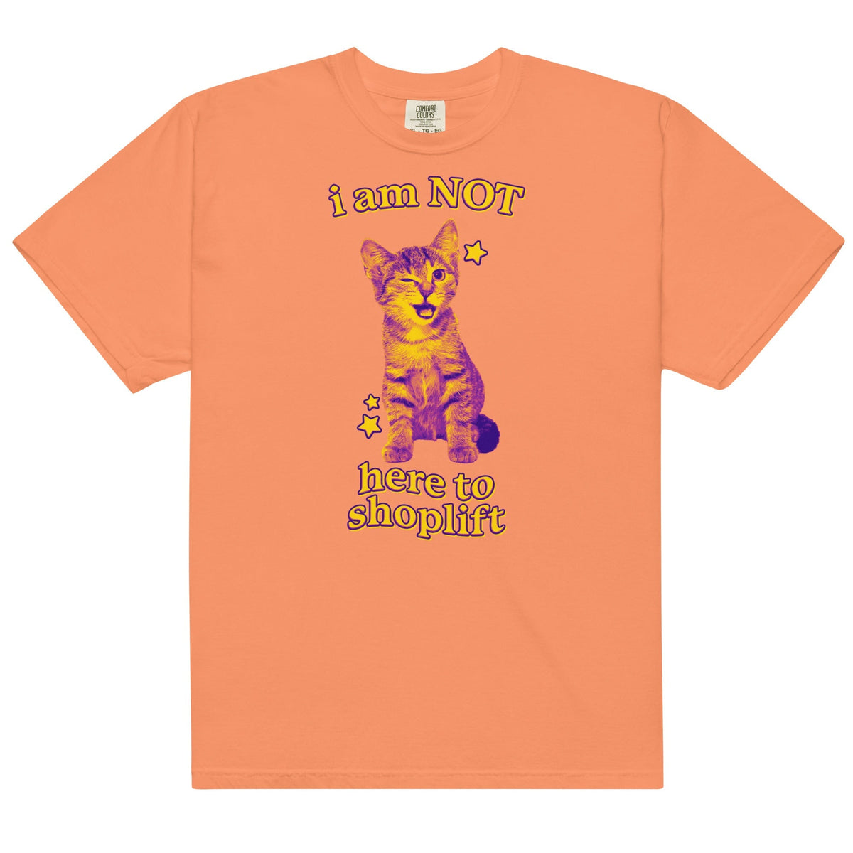 I Am NOT Here to Shoplift Unisex