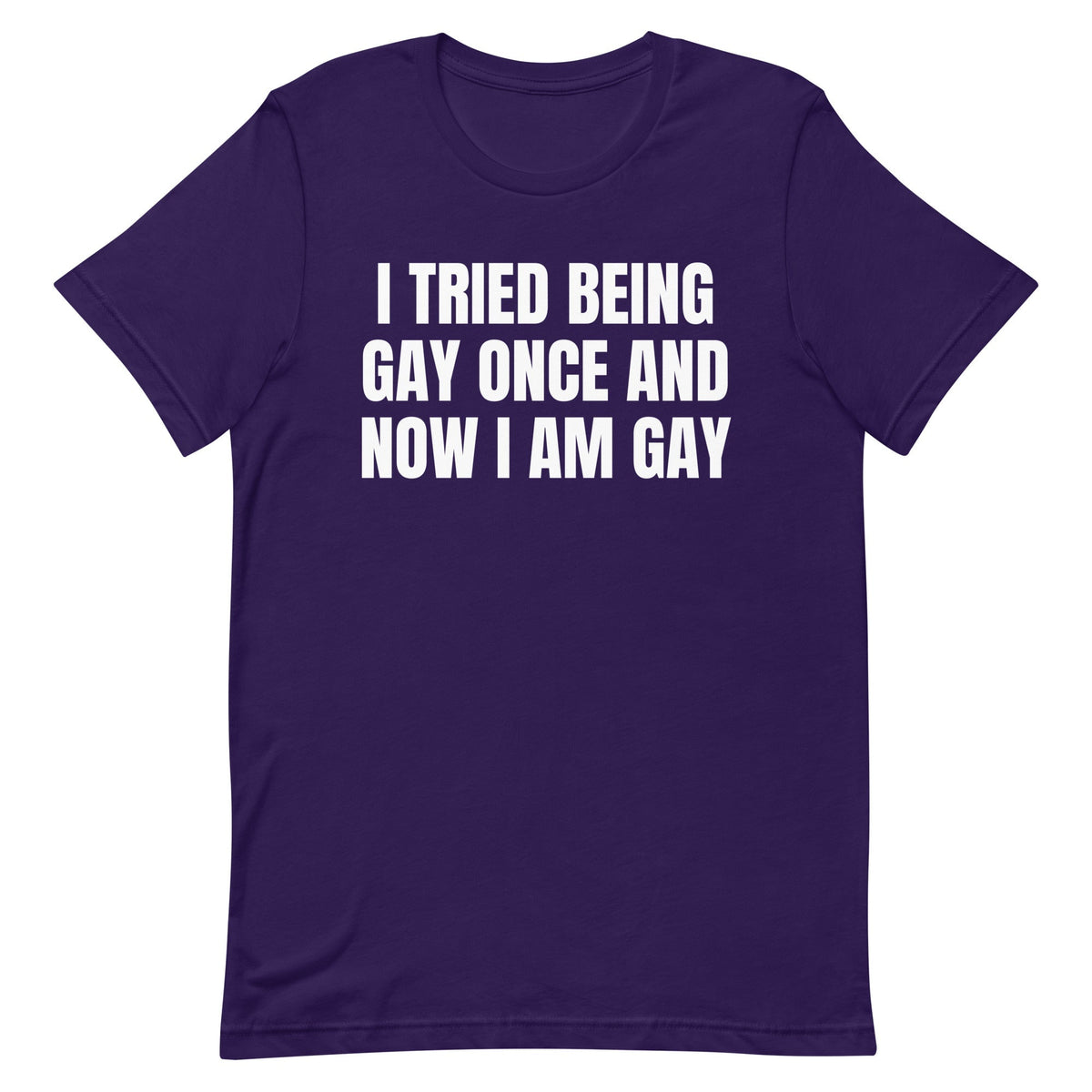 I Tried Being Gay Once Unisex