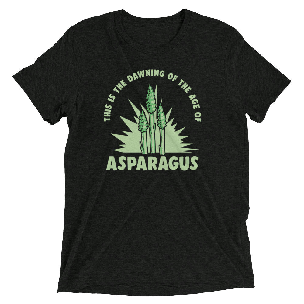 Age Of Asparagus Men's Tri-Blend Tee
