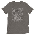Suspicious Cats Men's Tri-Blend Tee