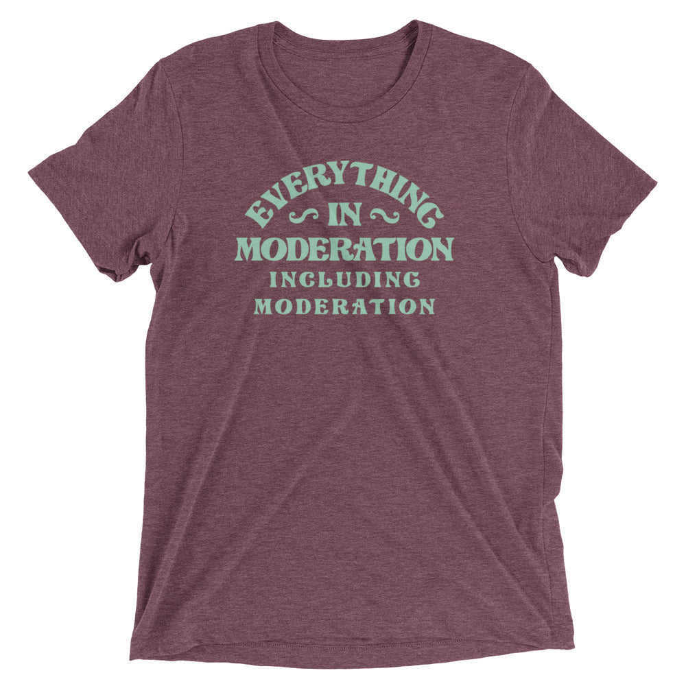 Everything In Moderation Including Moderation Men's Tri-Blend Tee