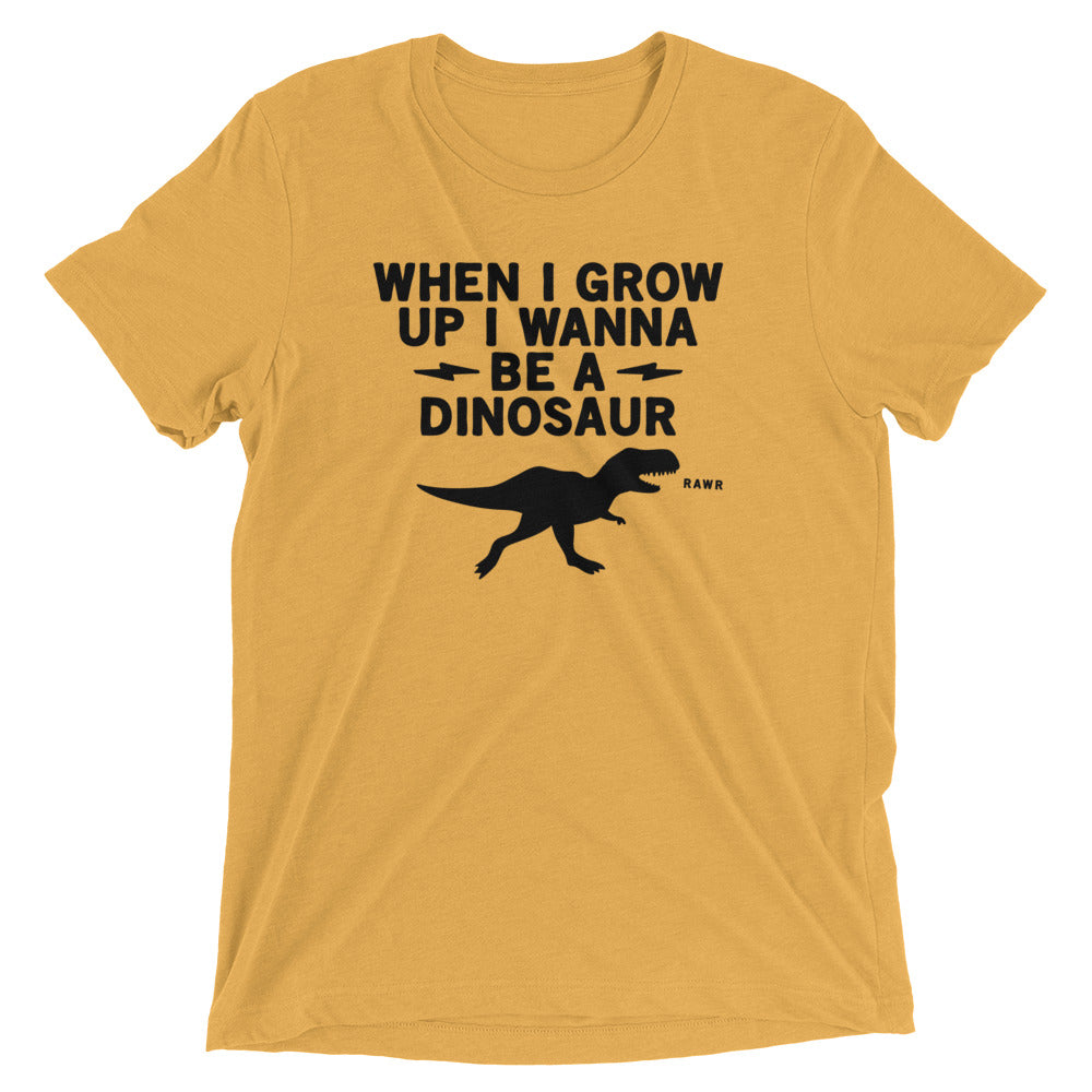 When I Grow Up I Wanna Be A Dinosaur Men's Tri-Blend Tee
