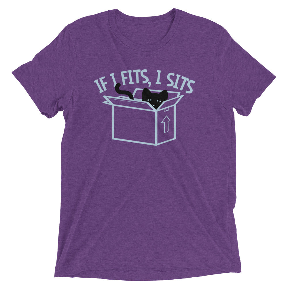 If I Fits, I Sits Men's Tri-Blend Tee