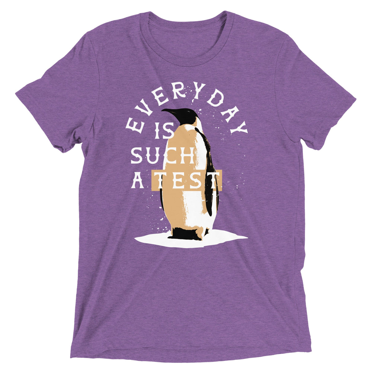 Everyday Is Such A Test Men's Tri-Blend Tee