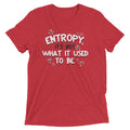 Entropy, It's Not What It Used To Be Men's Tri-Blend Tee
