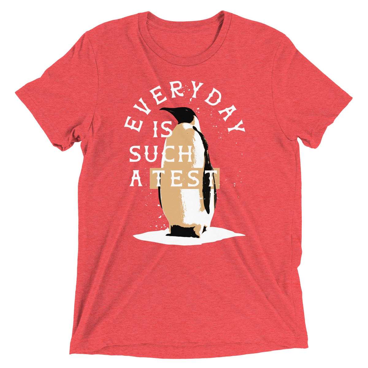 Everyday Is Such A Test Men's Tri-Blend Tee