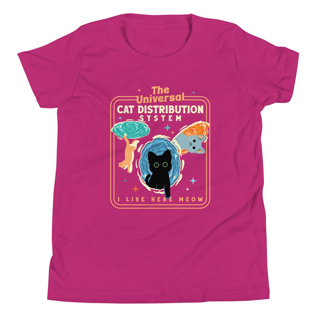 The Universal Cat Distribution System Kid's Youth Tee
